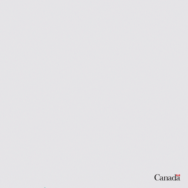 canada4rights canada4pride GIF by Canada International - Global Affairs Canada