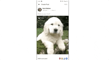 Animated GIF