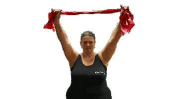 Sian Horn Sticker by ElitePilates