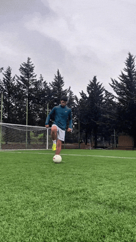 Football Soccer GIF