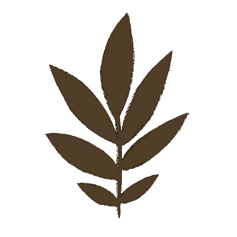 Plant Sticker