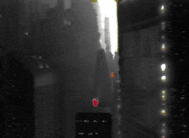 Vhs Enjoy GIF