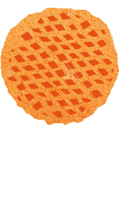 Orange Pie Sticker by Maastricht University