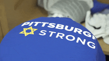 College Football Pittsburgh GIF by Pitt Panthers