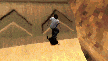 Skate GIF