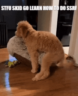 Ssrf Dog GIF