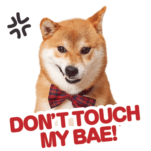 Valentine Shiba Sticker by adlibfashion