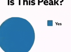 Pie Chart Yes GIF