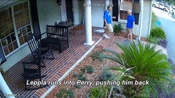 brianjburgess  GIF