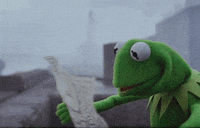 Kermit The Frog looking at a map gif. 