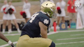 Notre Dame Touchdown GIF by Notre Dame Fighting Irish