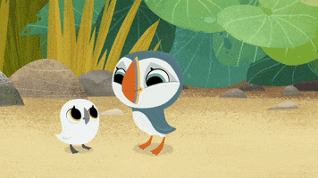 #puffin #rock #puffinrock #giggly #oona #baba #siblinglove GIF by Puffin Rock