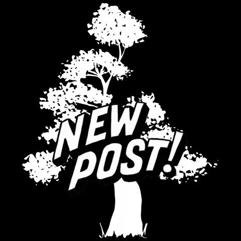 Elisson Andrade Fotografia GIF