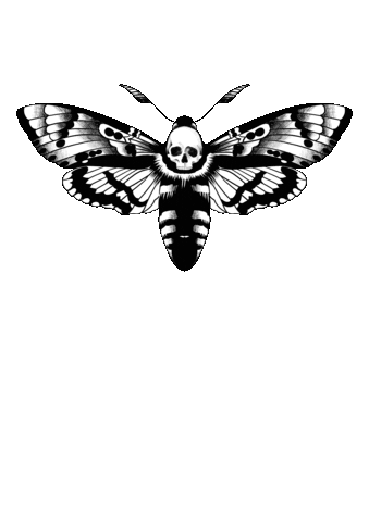 Skull Sticker