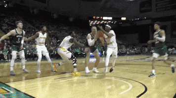 Ncaa Sports Sport GIF by Wright State University Athletics