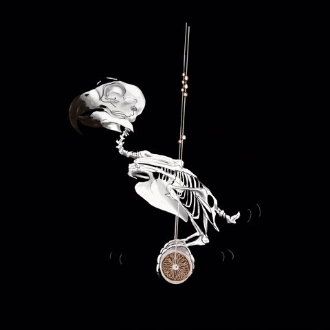 Waiting Bird Swing Birdy Skelett Creepy Halloween GIF