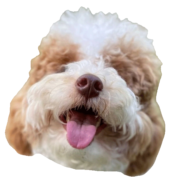 Happy Dog Sticker for iOS & Android GIPHY