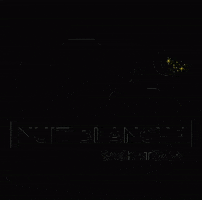 Saskatoon GIF by NuitBlancheYXE