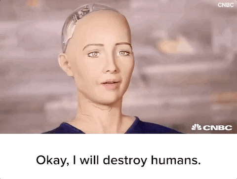 GIF of a female robot saying "Okay, I will destroy humans."