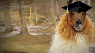 Awesome Hallmark Ecards GIF by Hallmark Gold Crown