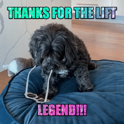 LiftLegend celebration excited thank you hangover GIF