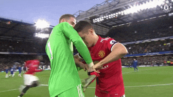 Help Me Soccer GIF by Manchester United