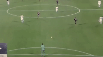 Papera Gollonzo GIF