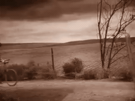 Bike GIF
