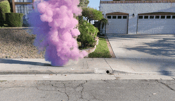 Stop Motion Art GIF by anthony samaniego