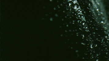 Water Rain GIF by Alec Benjamin