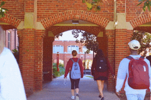 School College GIF by Florida State University