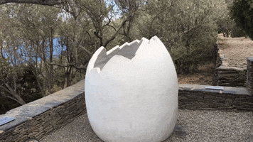 Dali GIF