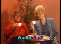 les-snuls-wunderbar-allemand-cmTwpTiTEVHuwxFKtg