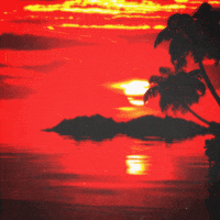 Aesthetic Red Gifs Get The Best Gif On Giphy