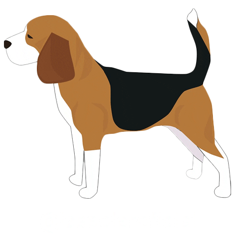 Beagle sticker 2024