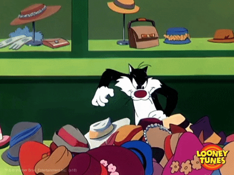 black friday cat GIF by Looney Tunes