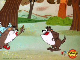 Tasmanian Devil Love GIF by Looney Tunes