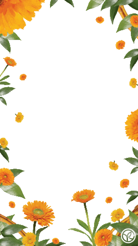 Flower Frame Sticker