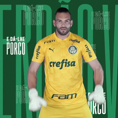 Puma Escudo GIF by SE Palmeiras