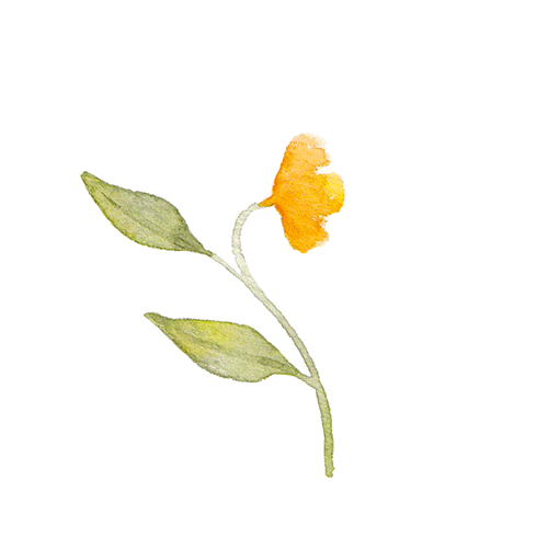 Art Flower Sticker