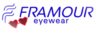 framour framour framour eyewear GIF