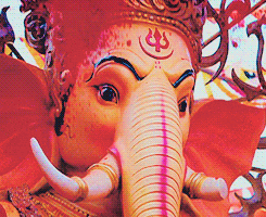 Ganesh Chaturthi D GIF by India