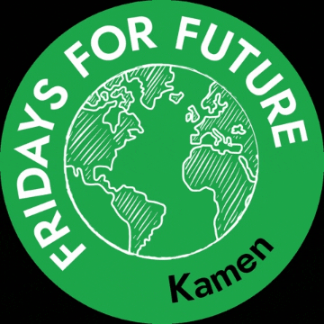 Fff GIF by Fridays for Future Kamen
