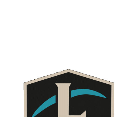 Lappi Security Sticker