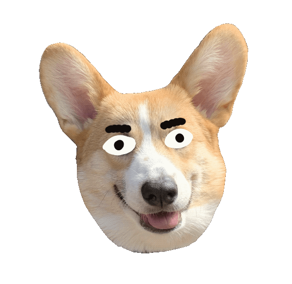 Dog Sticker by Tutimon for iOS & Android GIPHY