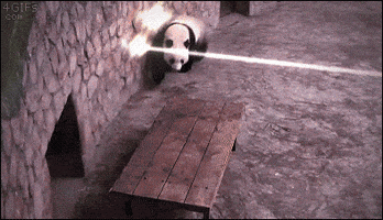 Les chats vaincront 200