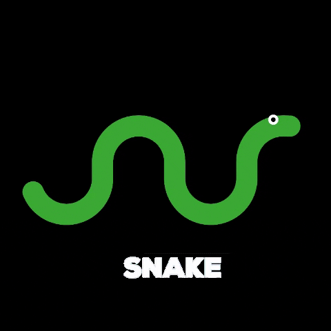 Rrudi snake rrudi GIF