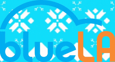 Bluelaelectricvehicles GIF by BlueLA Car Sharing
