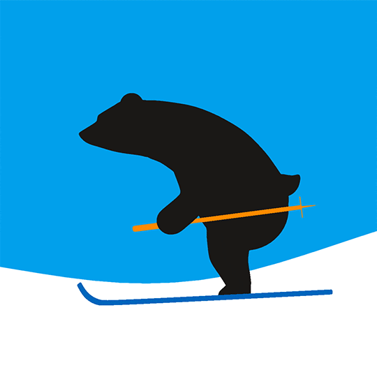 Bear Ski GIF by Visitpori