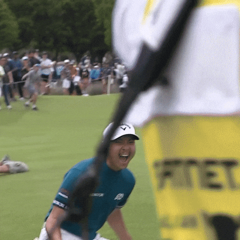DP World Tour GIF